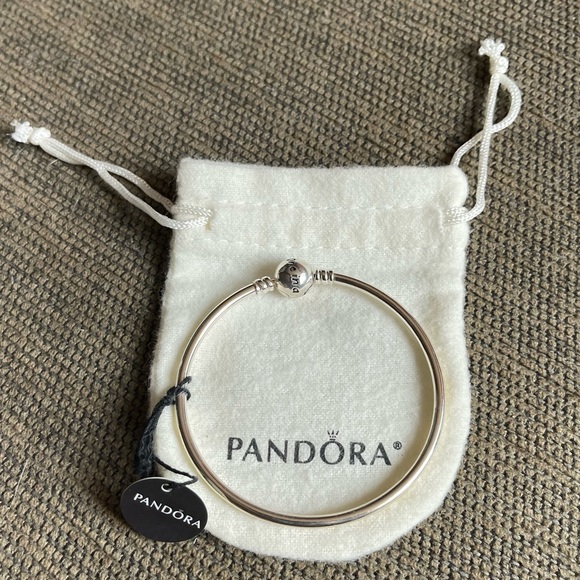 NWT Retired Pandora Limited Edition One in A Million Bangle Bracelet - Picture 2 of 9